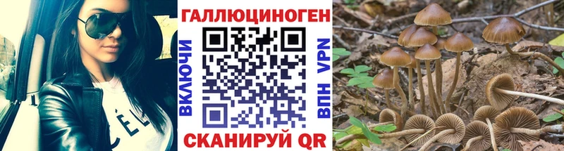 Купить закладки  Валуйки  Галлюциногенные грибы ЛСД 